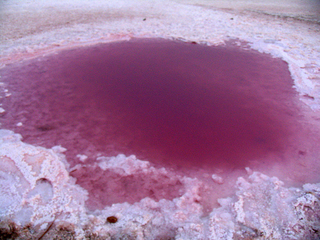 Illustration for article titled Photos of Mars...on Earth...in Tunisia